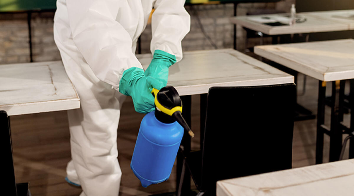 Feci nell'aula: raid vandalico al liceo Serpieri di Viserba - Foto di repertorio