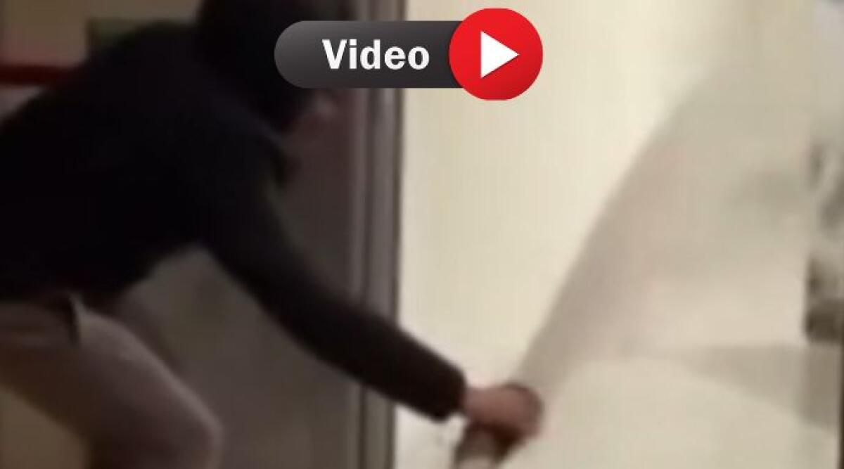 Bravata virale al Romagna Shopping Valley: ragazzi vandalizzano l'ingresso e mettono in pericolo la sicurezza - Un fermo immagine del video