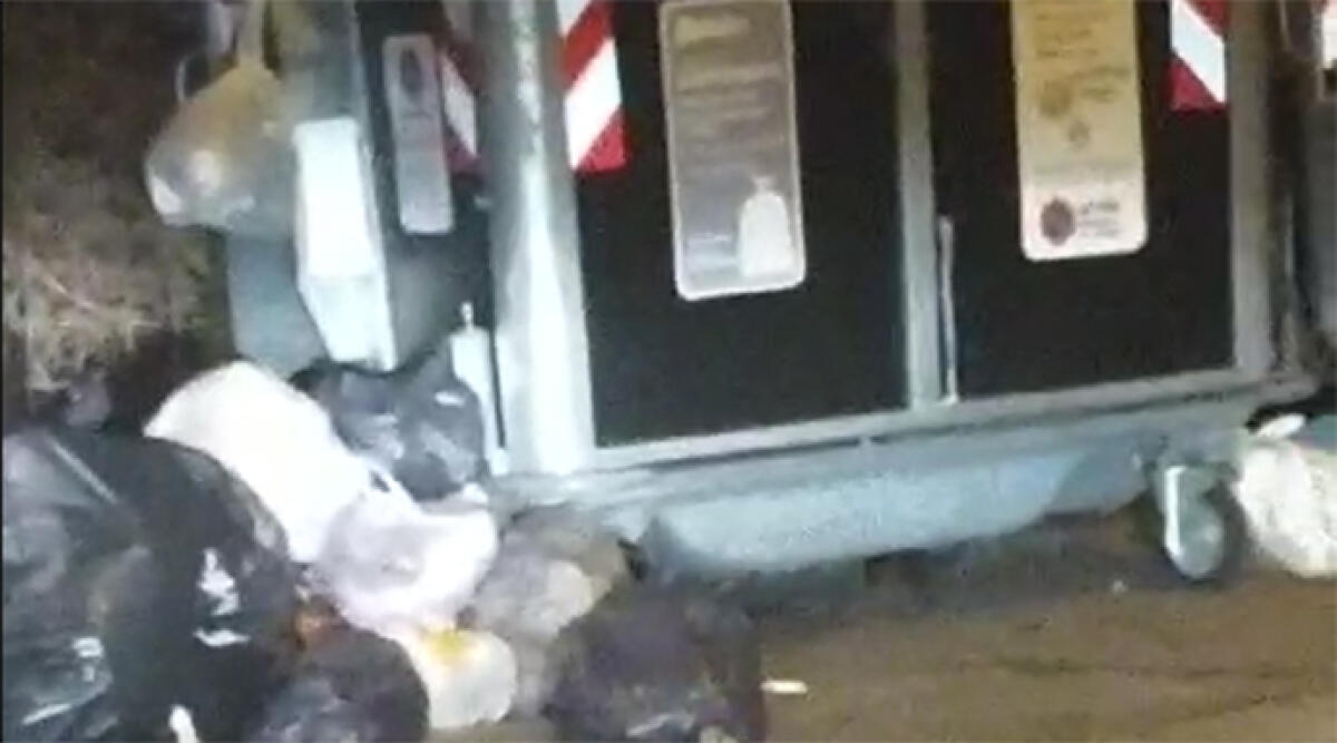 Topi tra i bidoni: degrado in zona Marebello - I cassonetti in via Vico