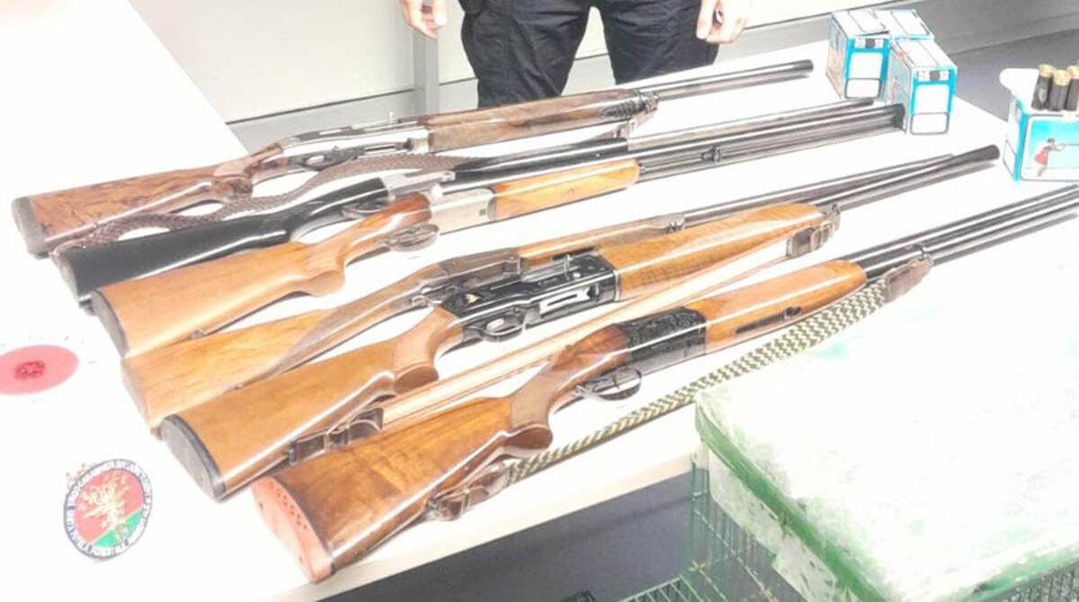 Beccato ad usare trappole illegali per animali. Nel capanno aveva armi incustodite - Le armi sequestrate dai Carabinieri Forestali