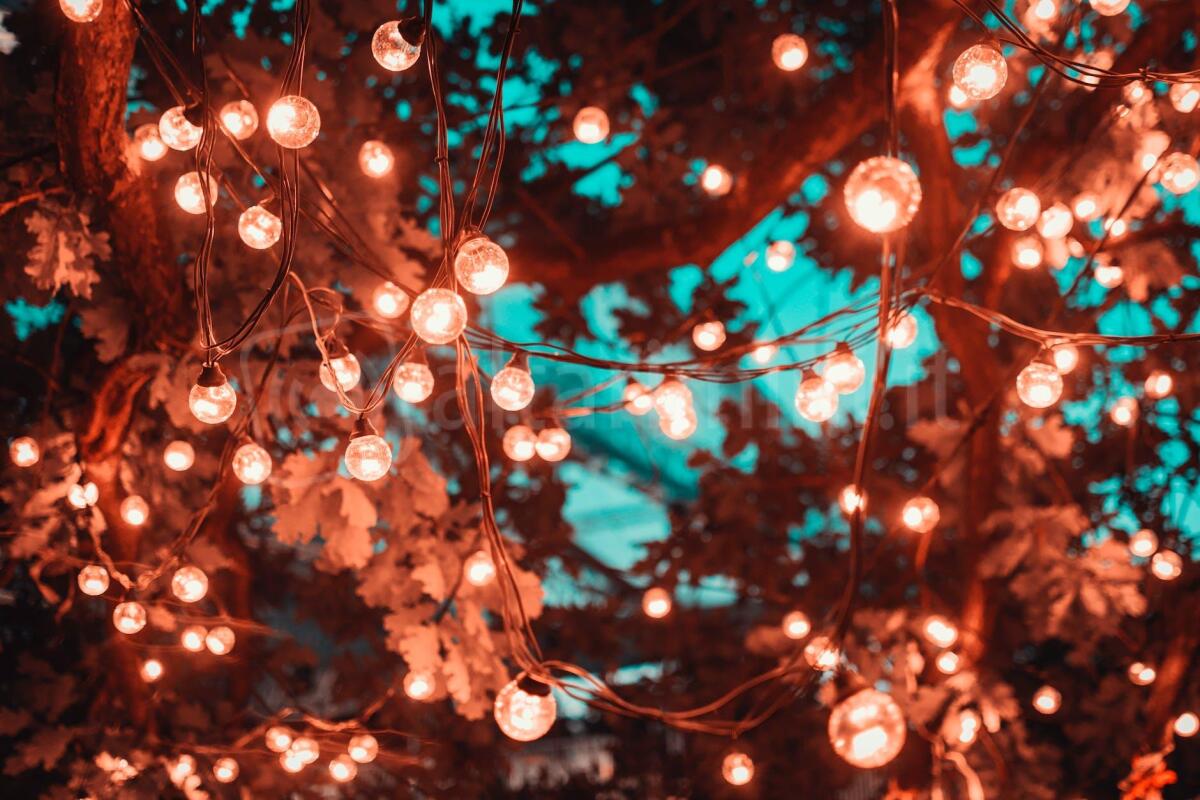 Luminarie prolungate per altri due mesi: accompagneranno lo shopping dei saldi - Photo by Artem Saranin on <a href="https://www.pexels.com/photo/brown-string-lights-in-tree-1124960/" rel="nofollow">Pexels.com</a>