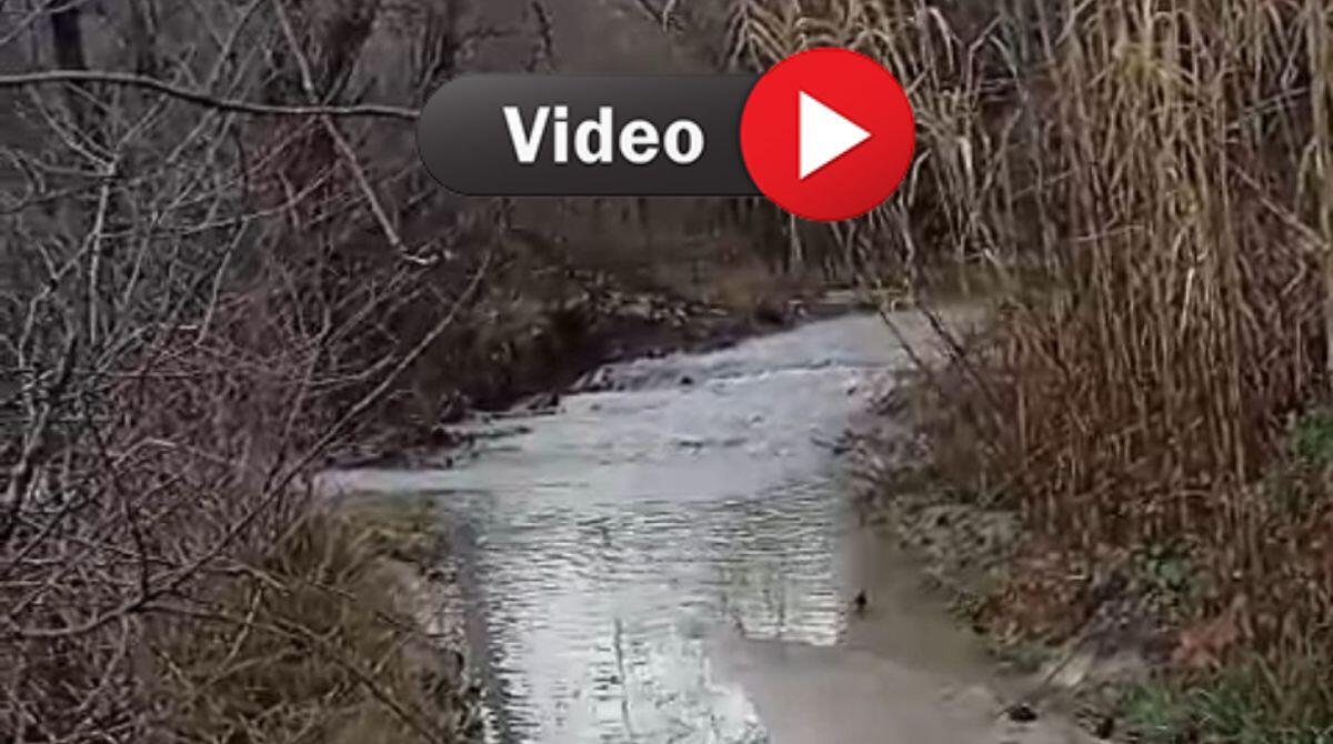 Pennabilli, le piogge fanno tracimare il torrente Messa: la strada rischia di scomparire - Strada comunale località Ca' Bicci, comune di Pennabilli