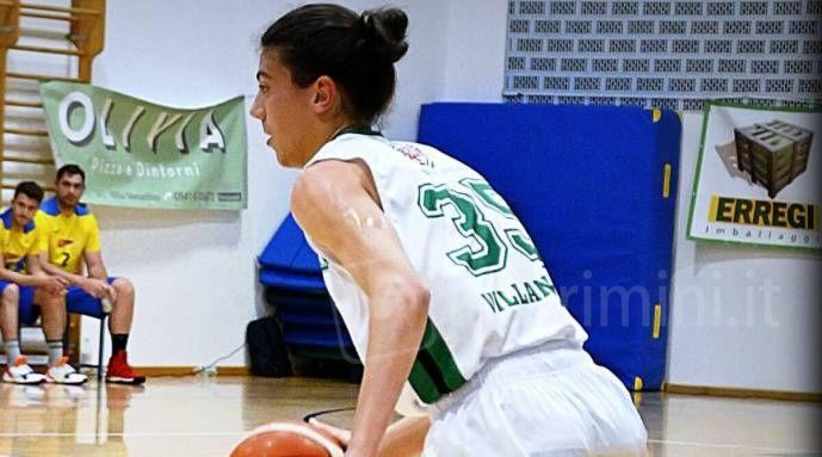 Basket, i Tigers vogliono imbavagliare il Grifo Imola. Si gioca venerdì -
