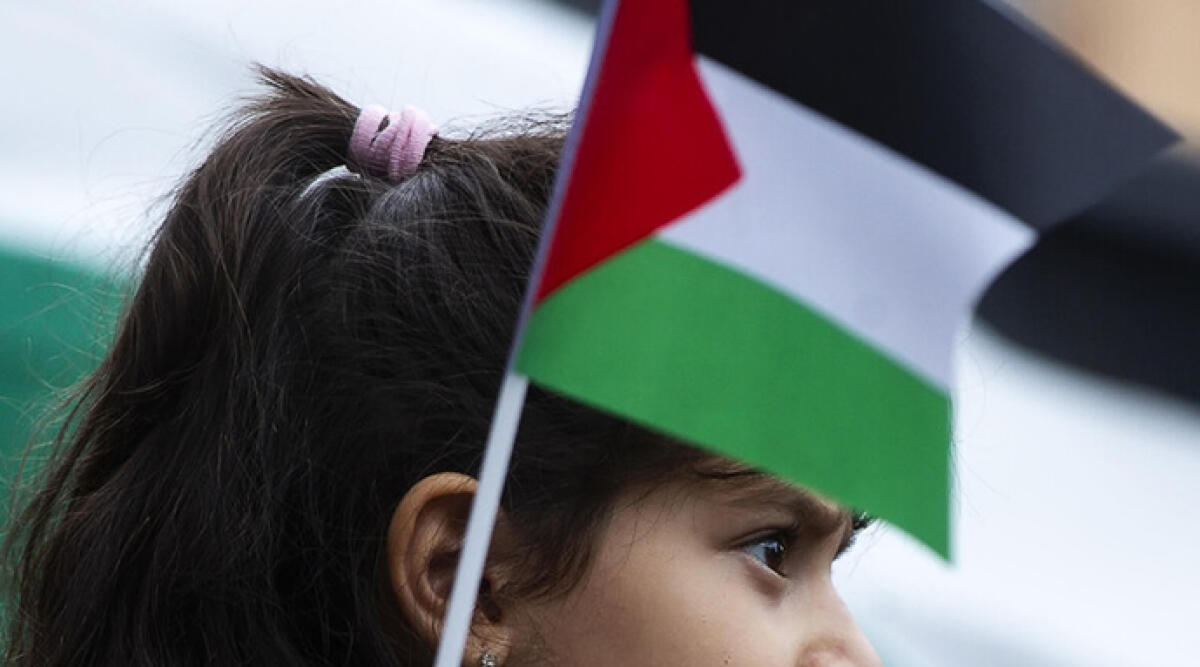 Presidio per la Palestina: Santarcangelo di Romagna unita contro la violenza - Foto di repertorio