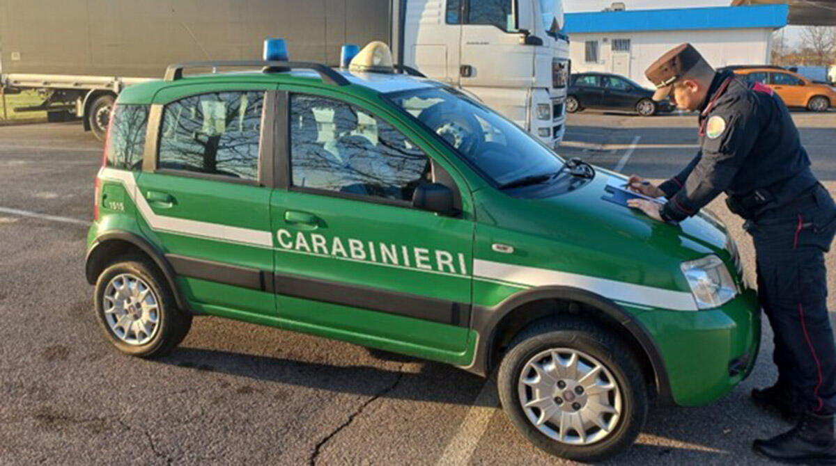 Valmarecchia, gestione illecita dei rifiuti: sanzionate 19 aziende del territorio - Carabinieri Forestali