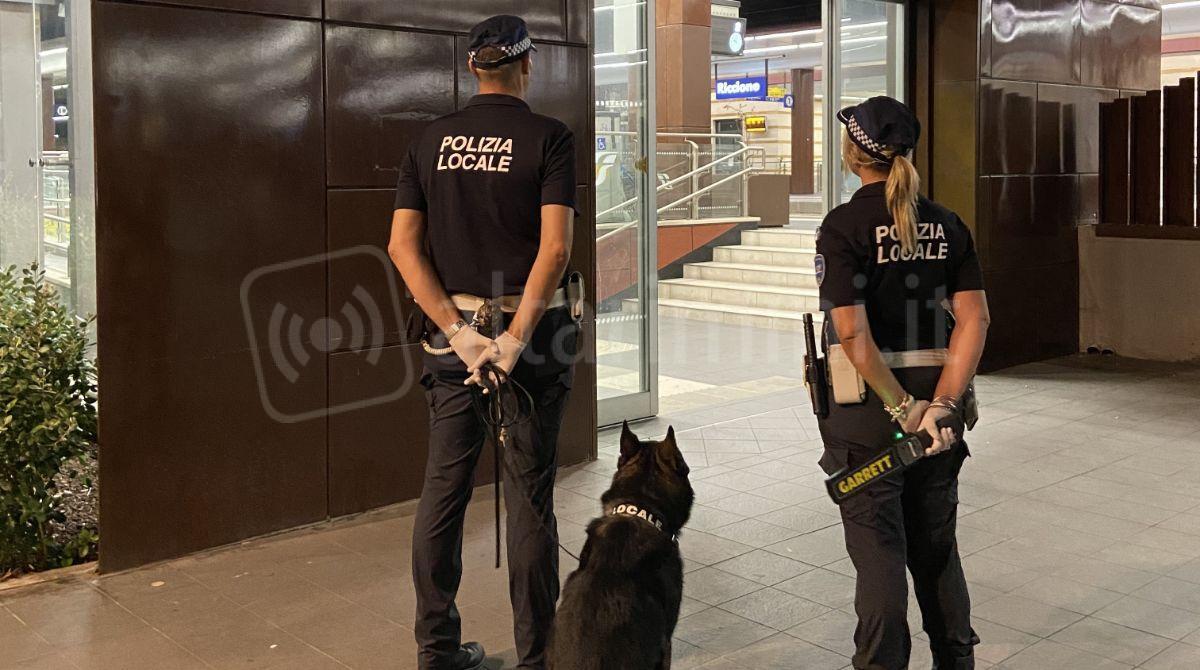 Sequestri di stupefacenti e il prezioso aiuto dell'unità cinofila: il bilancio 2023 della Polizia Locale di Riccione -