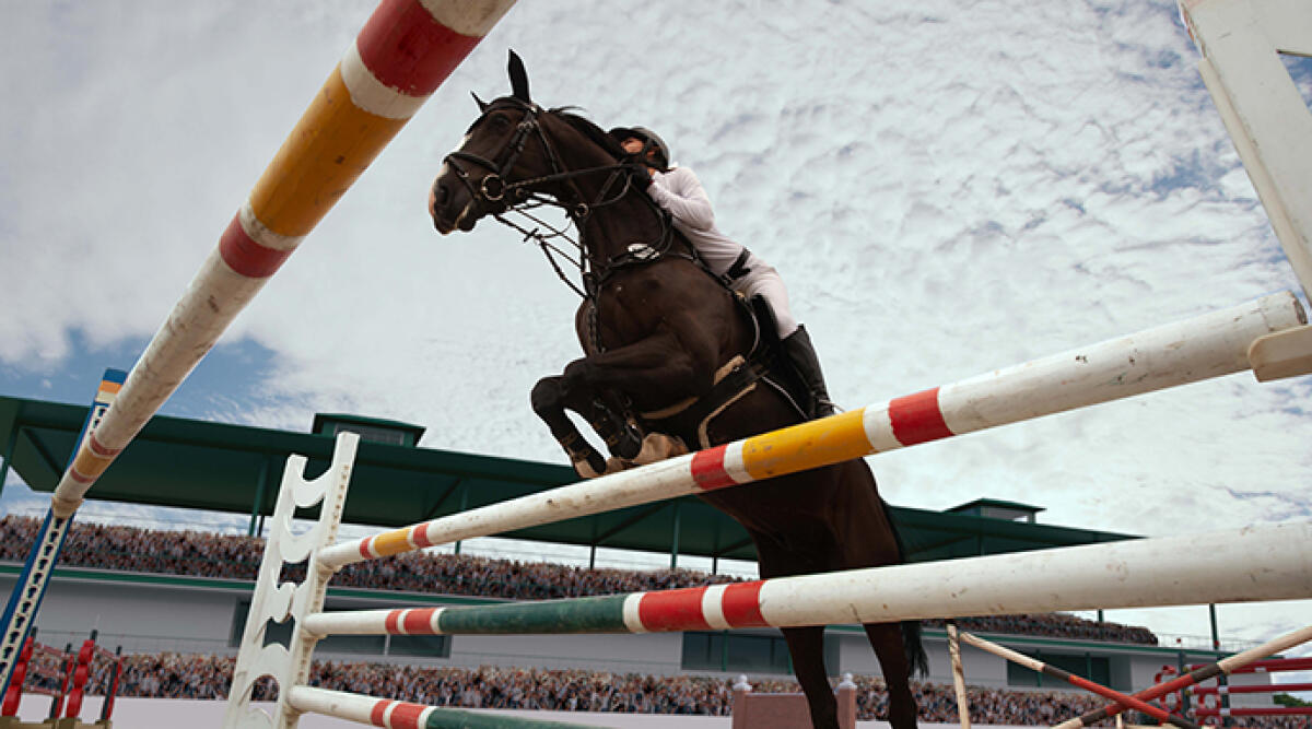 Cavallo dopato, istruttore rischia arresto da sei mesi a tre anni - Foto di repertorio