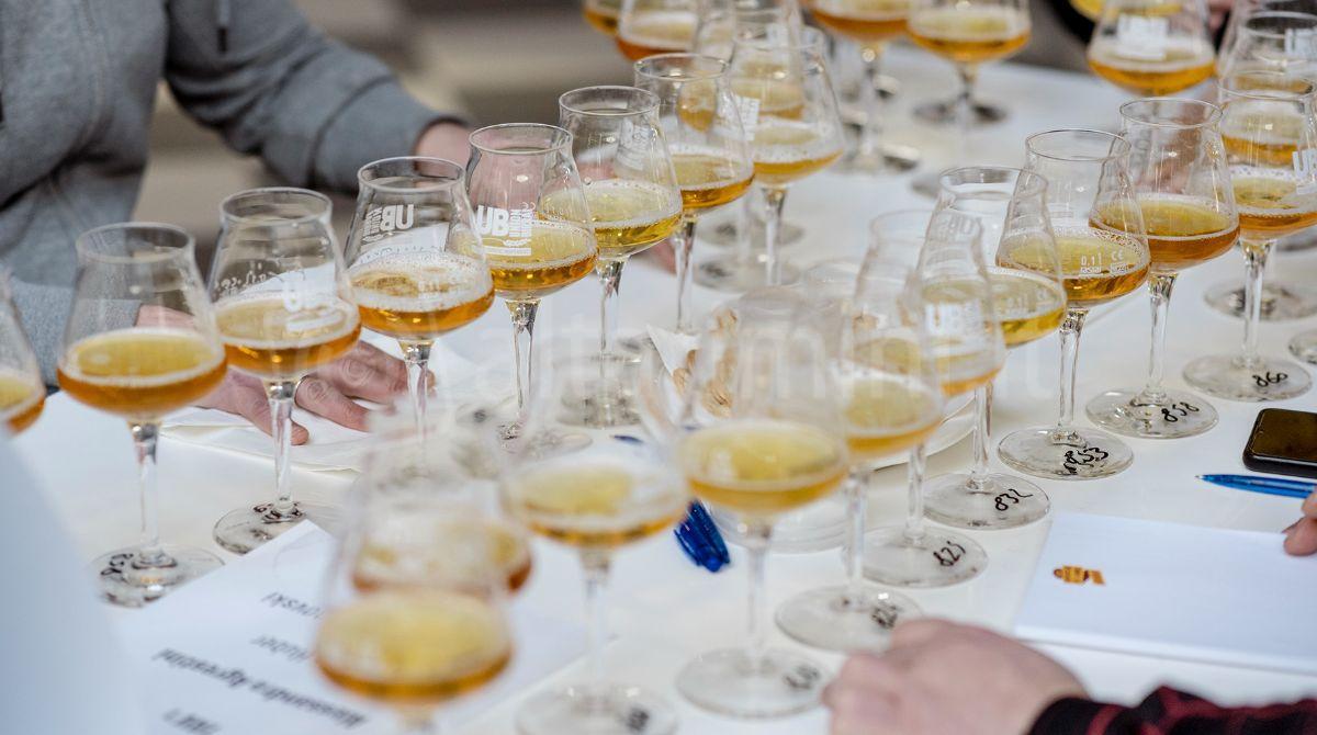 Birra dell'Anno, i vincitori proclamati a Rimini Fiera -
