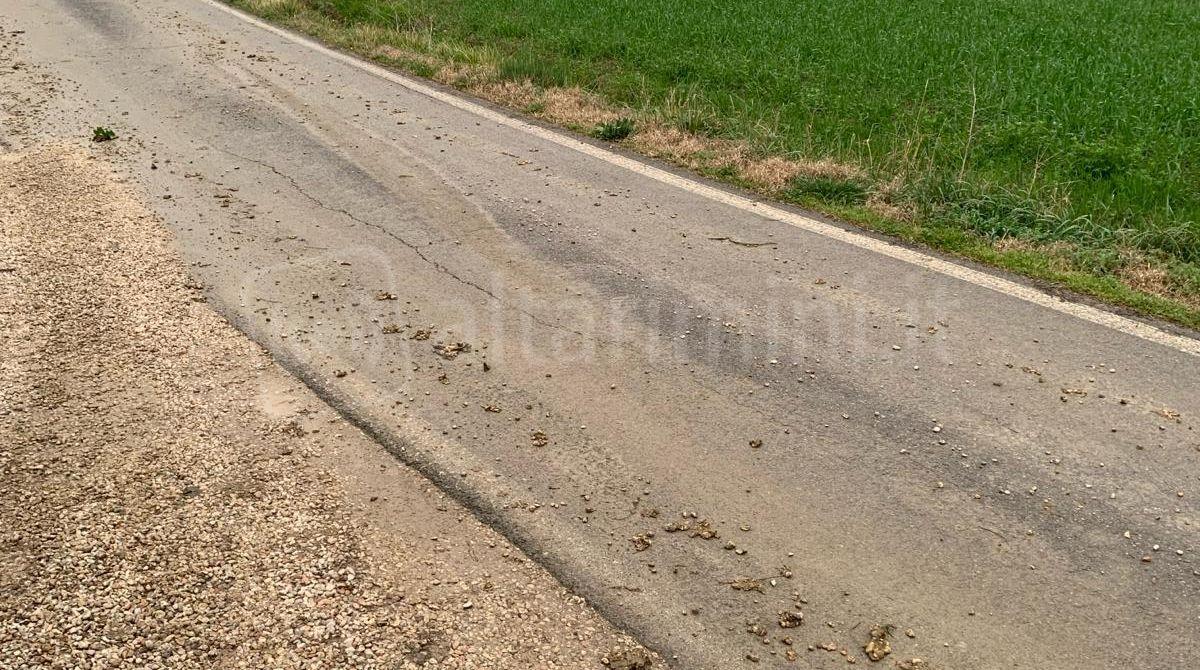 Sant'Andrea in Besanigo: via Cà Tomassini dissestata, la segnalazione di Coriano Futura - Via Cà Tomassini
