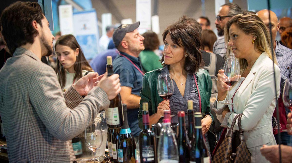 I migliori vini Dop e Igp della Romagna si incontrano a Misano - 