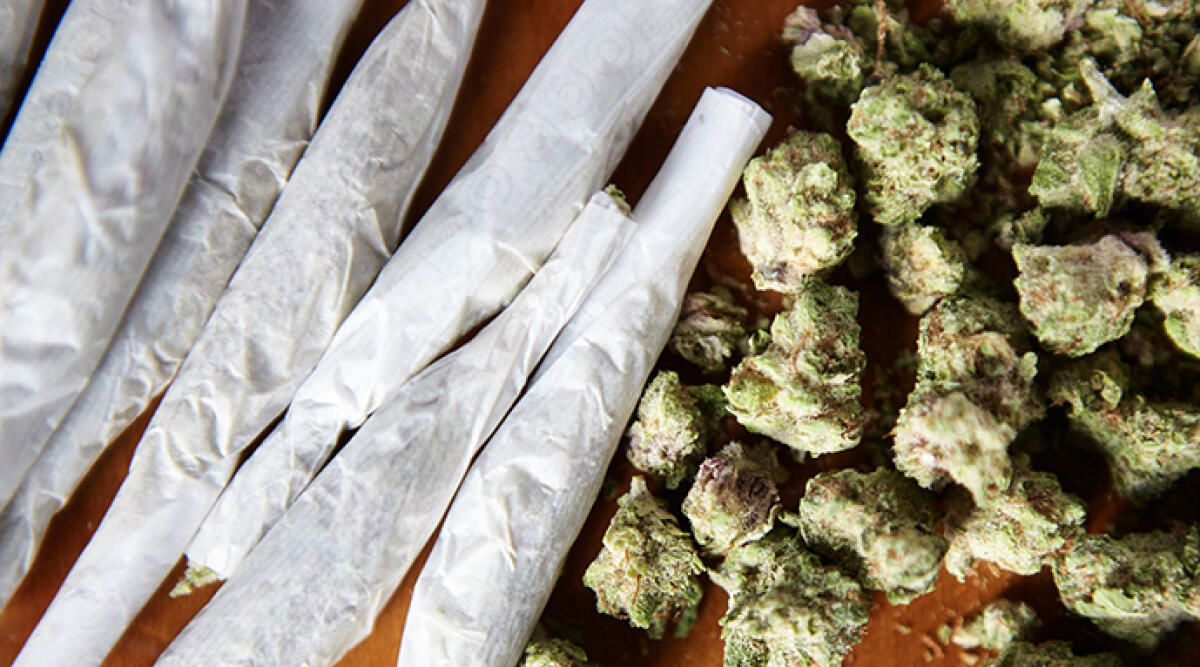 Assolto il professore di Rimini: la sua 'scorta' di droga era per uso personale - Foto di repertorio