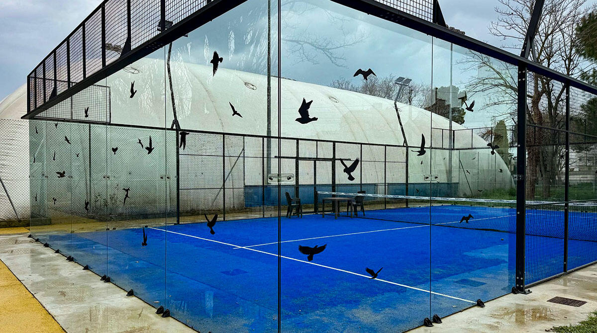 Padel, un pericolo per gli uccelli. Il Comune installa le sagome anti collisione - Campo da Padel parco Pertini, Rimini
