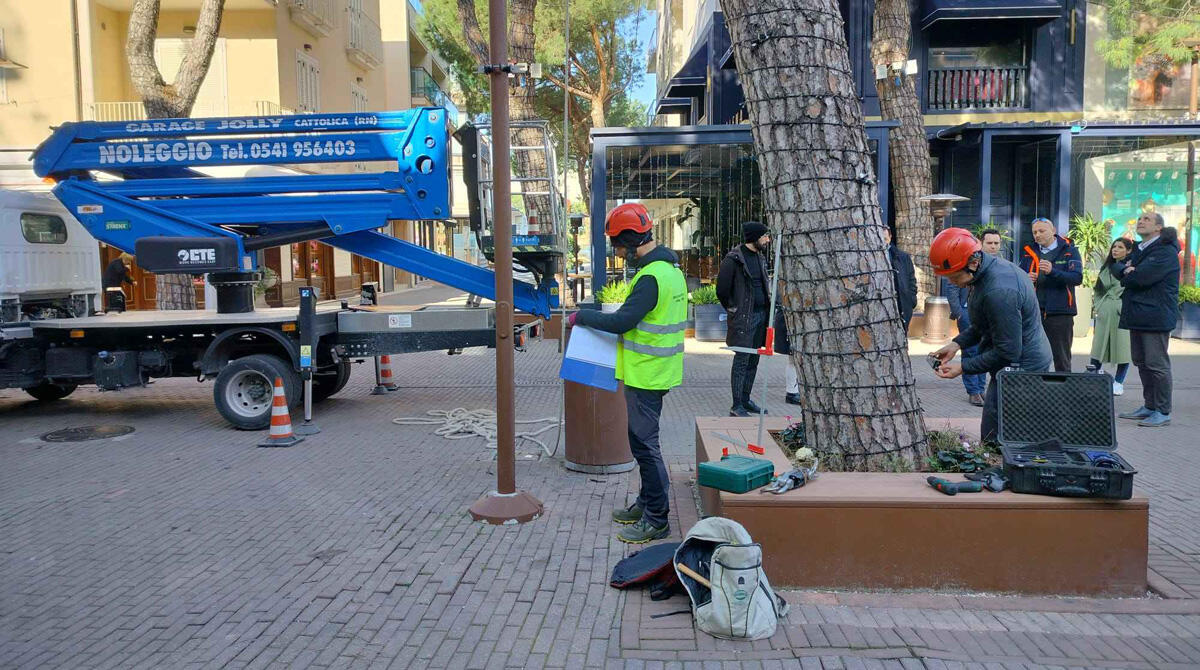 Riccione prosegue il monitoraggio di oltre 10.000 alberi: "Censimento con tecnologie avanzate" - 