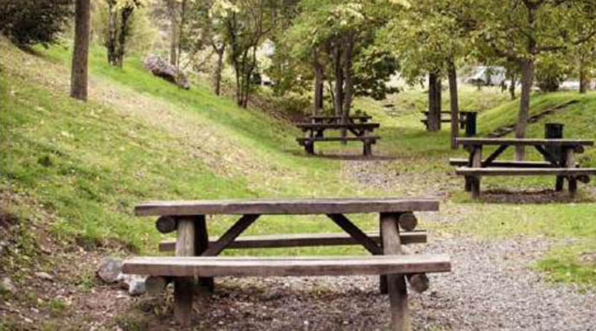 Riccione "Green": fondi per quasi 2 milioni per riqualificare area tra porto e laghetti Arcobaleno - 