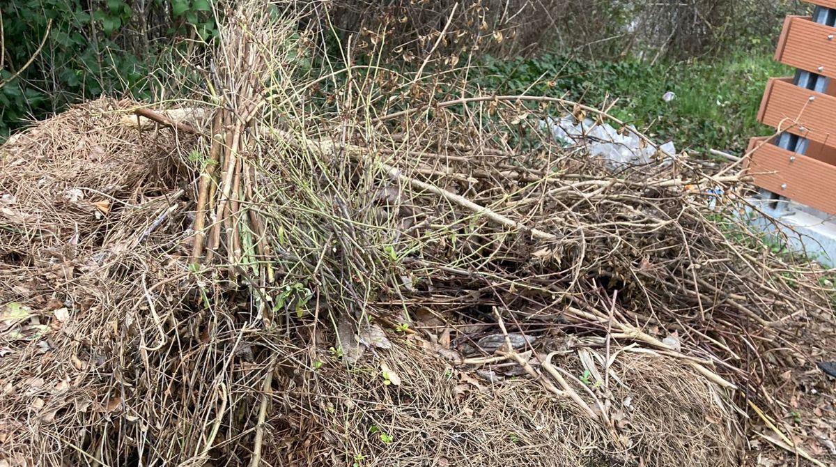 Sfalci da giardino scaricati vicino ai bidoni. La segnalazione - Gli sfalci abbandonati