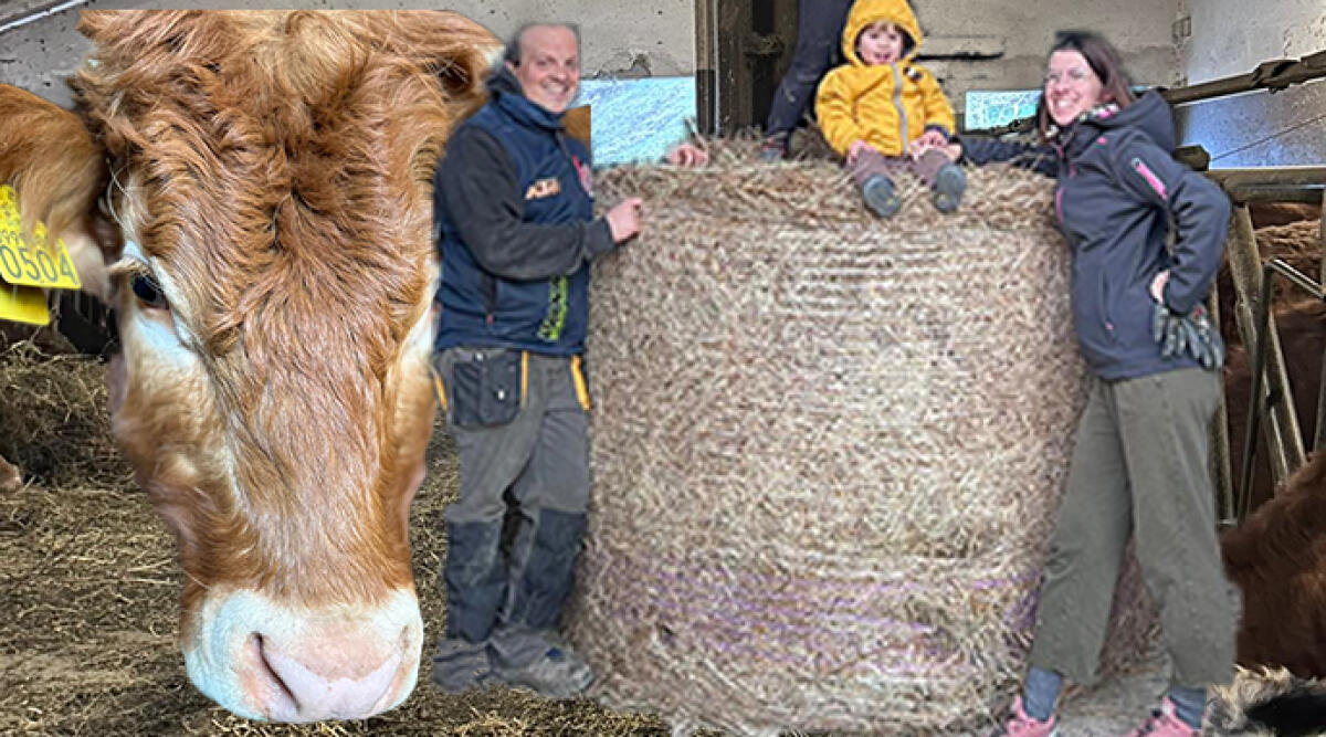 Dopo la laurea la nonna le regala una mucca. Ora Debora gestisce un agriturismo preso d'assalto dai turisti -