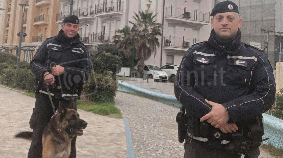 Controlli della Polizia Locale di Riccione: 3 giovani sorpresi con stupefacenti - L'unità cinofila Dark in azione con i colleghi umani