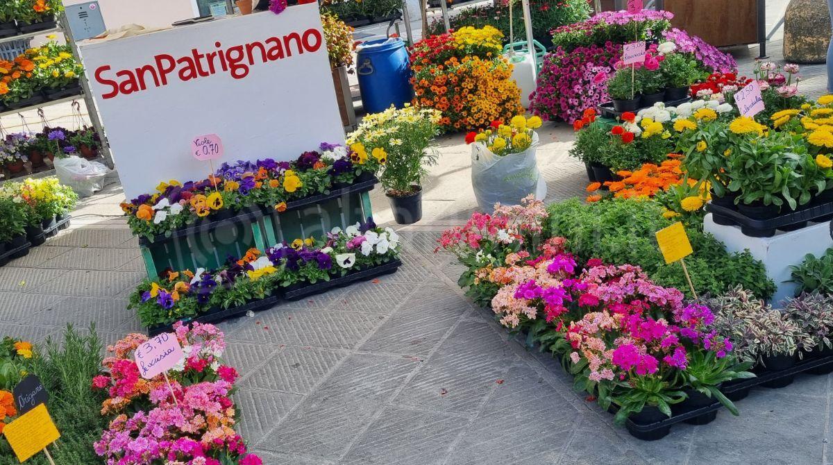 A San Giovanni in Marignano la primavera si festeggia in un weekend -