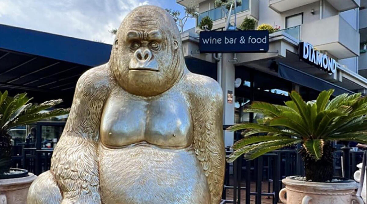 Riapre a Rimini il Diamond Wine Bar dopo l’incendio che lo aveva danneggiato - Il Diamond Winebar&food