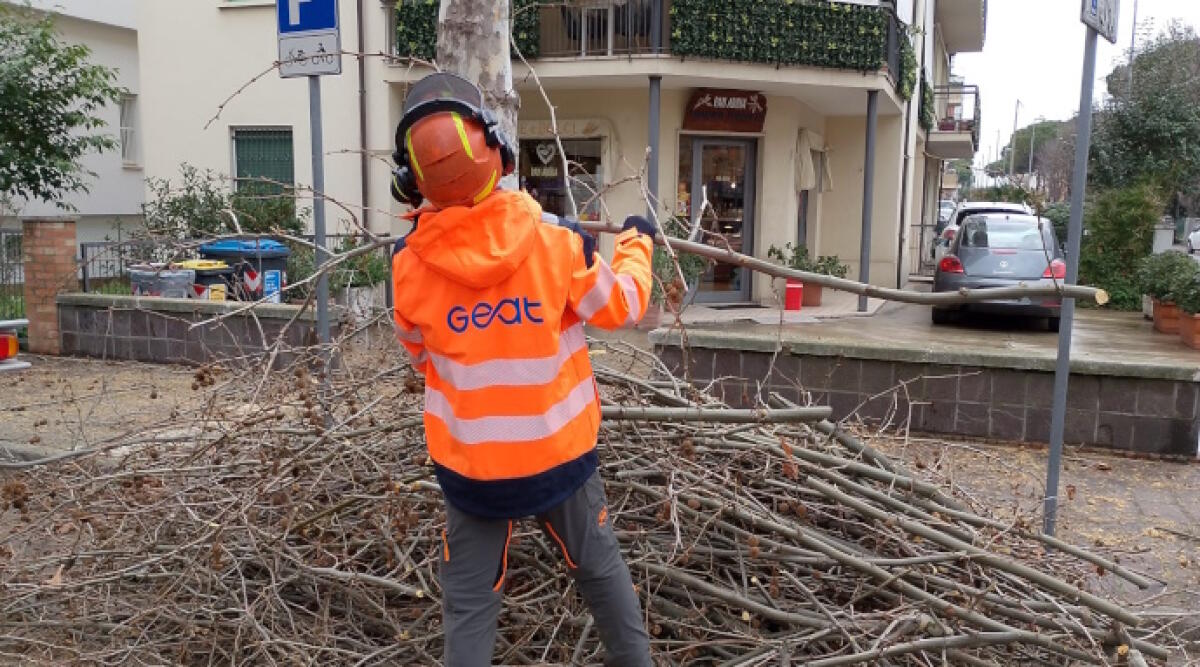 Manutenzione e cura del verde pubblico: potati oltre 800 alberi a Misano - Manutenzione del verde pubblico a Misano (repertorio)