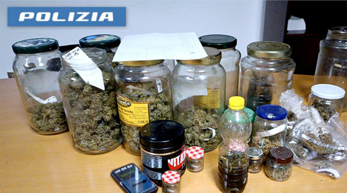 Assiste il padre anziano e invalido, ma trasforma la mansarda in serra per la droga: arrestato - 