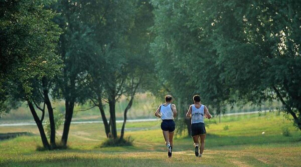 Parco del Gelso di Bellaria Igea Marina: cittadella del fitness e benessere per tutti - 