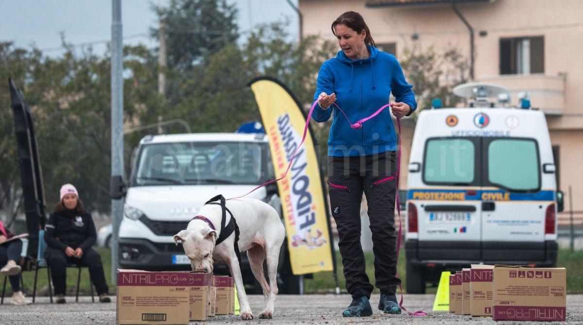 Centro cinofilo "Sguinzagliamoci" compie 10 anni: una festa per cani e padroni - Serena Giorgetti - ph Daniele Scassa