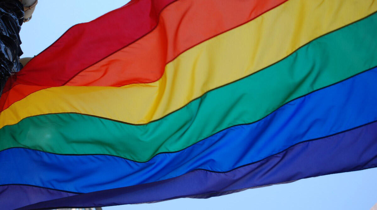 Giornata della visibilità Transgender: appuntamento a Rimini alla Serra Cento Fiori - Foto di repertorio