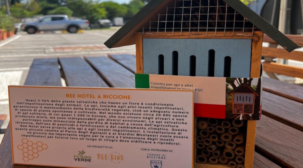 In arrivo un nuovo Bee Hotel: le api avranno un’altra casetta a Riccione - Bee Hotel a Riccione