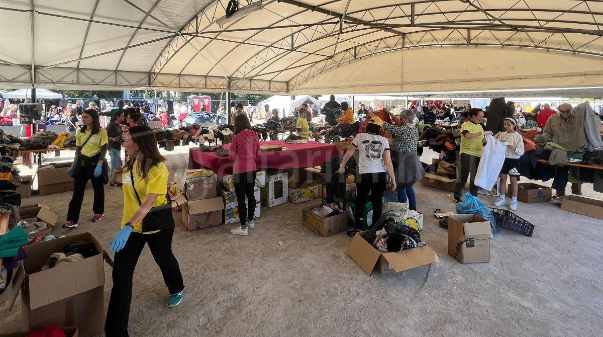 Conto alla rovescia per il Campo Lavoro: ecco tutte le istruzioni per la raccolta -