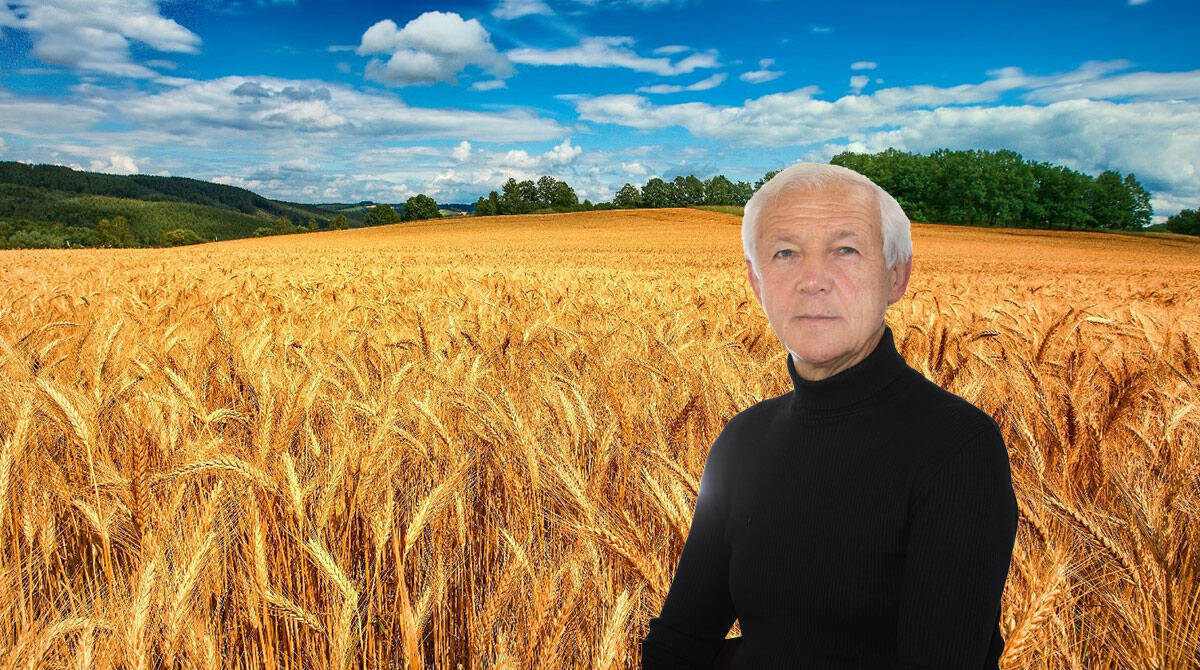 Agricoltura: in provincia Rimini l'annata 2023 perde 13 milioni di euro - Leonardo Sacchetta, agronomo