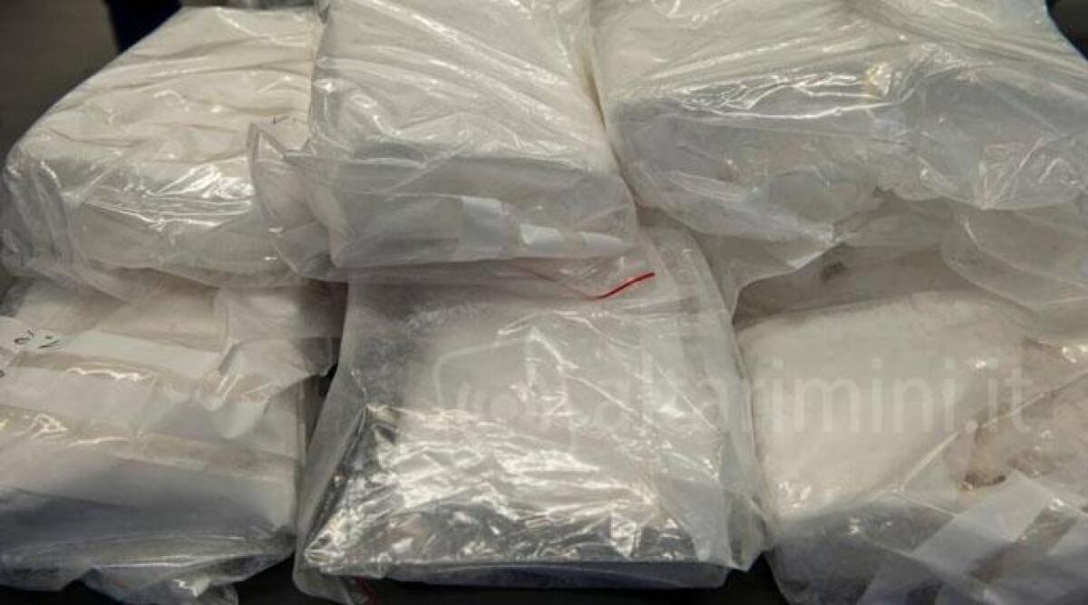 Fiumi di cocaina dalla Germania, anche Rimini tra le piazze dello spaccio: 22 indagati nella maxi operazione - Cocaina ARCHIVIO