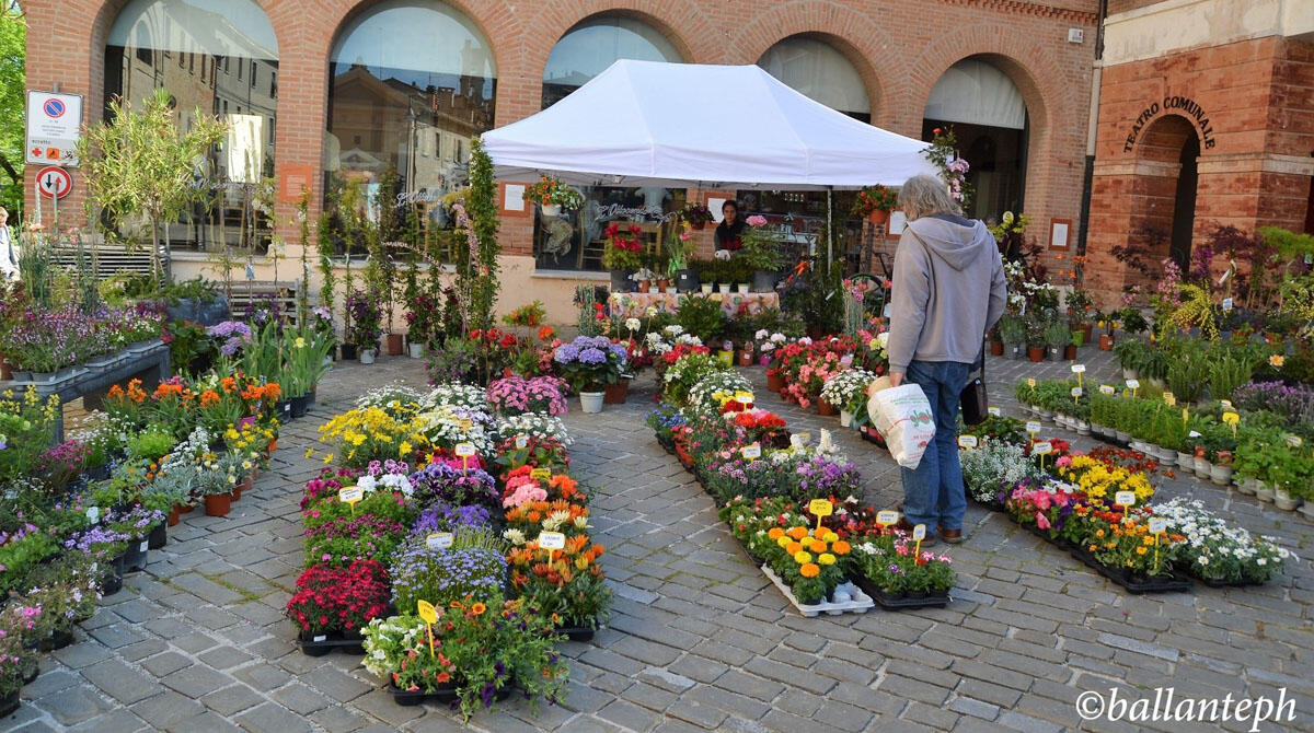 Saludecio accoglie la Primavera con Saluserbe e tante novità -