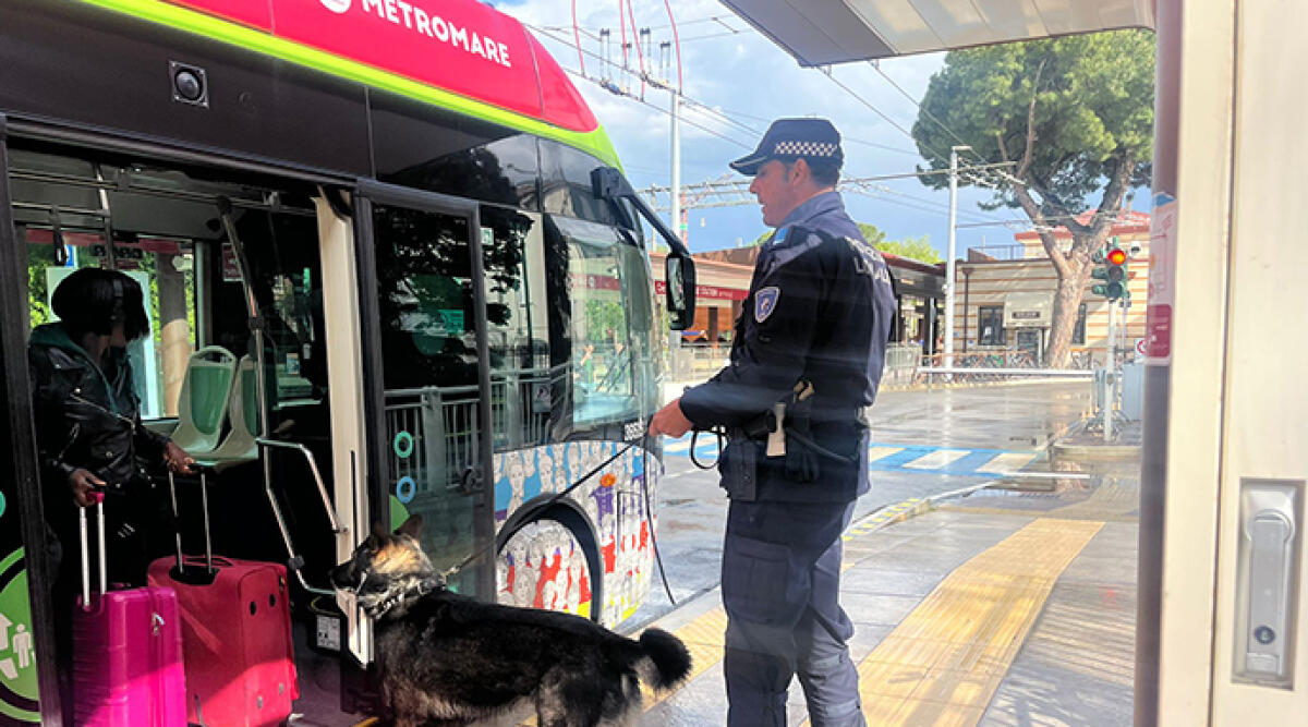 Erbetta: "Metromare piazza di spaccio più grande di Rimini" - 