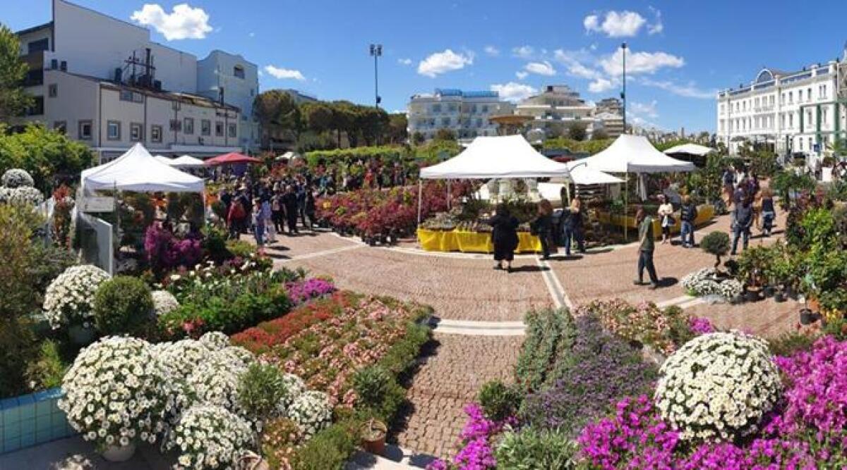 Conto alla rovescia per la festa che trasforma Cattolica in un grande giardino a cielo aperto - Cattolica in fiore (edizione 2019)
