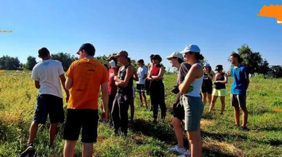 Santarcangelo, aperte le iscrizioni ai campi di volontariato sui beni confiscati alle mafie - E!stateliberi