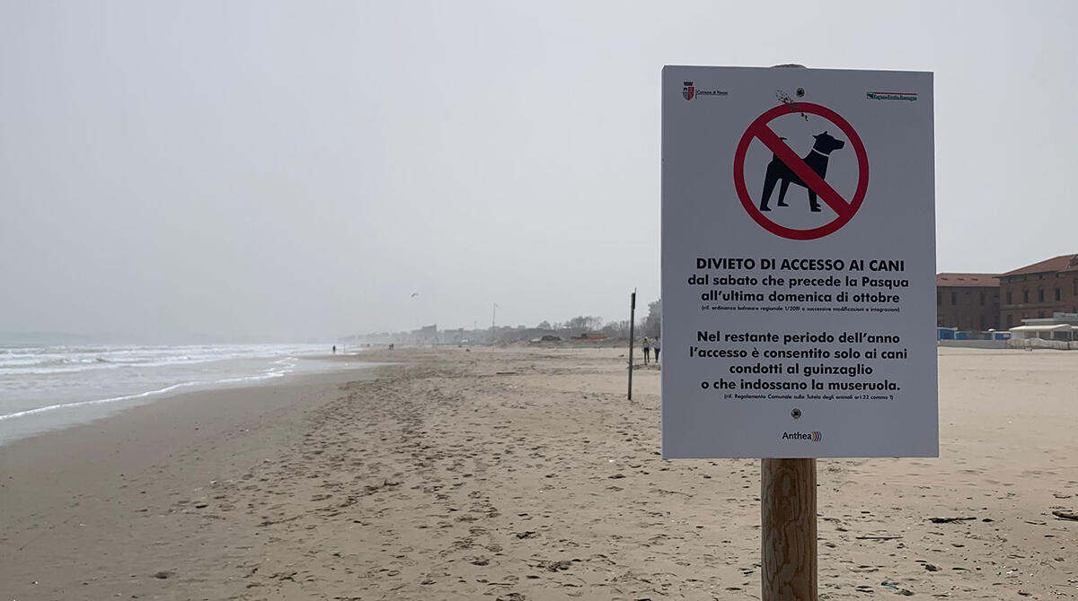 Cani vietati in spiaggia fino a novembre. Il provvedimento anche per tutelare i fratini - I divieti affissi lungo l'arenile riminese