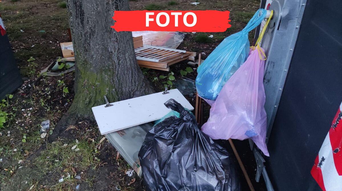 Rifiuti, sfalci d'erba e maleducazione: la rabbia di un residente verso gli incivili - Rifiuti abbandonati in via dell'Edera, Rivabella di Rimini