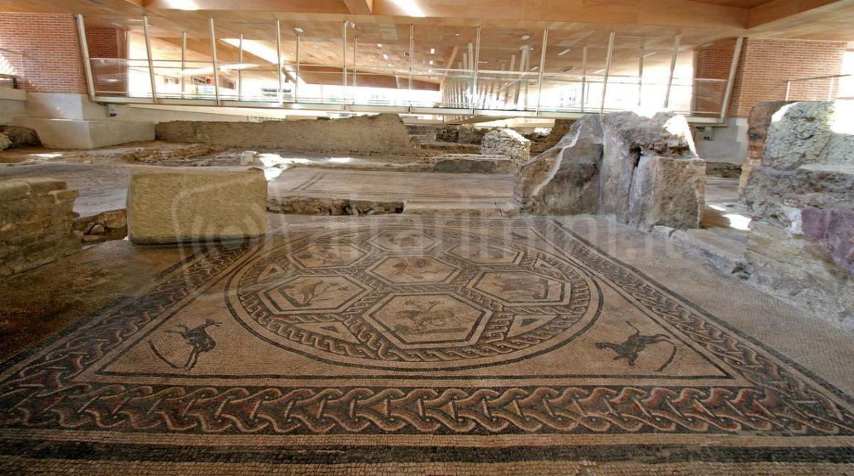 Scoprire Rimini con le visite guidate: speciali appuntamenti al Museo della Città - Domus del Chirurgo