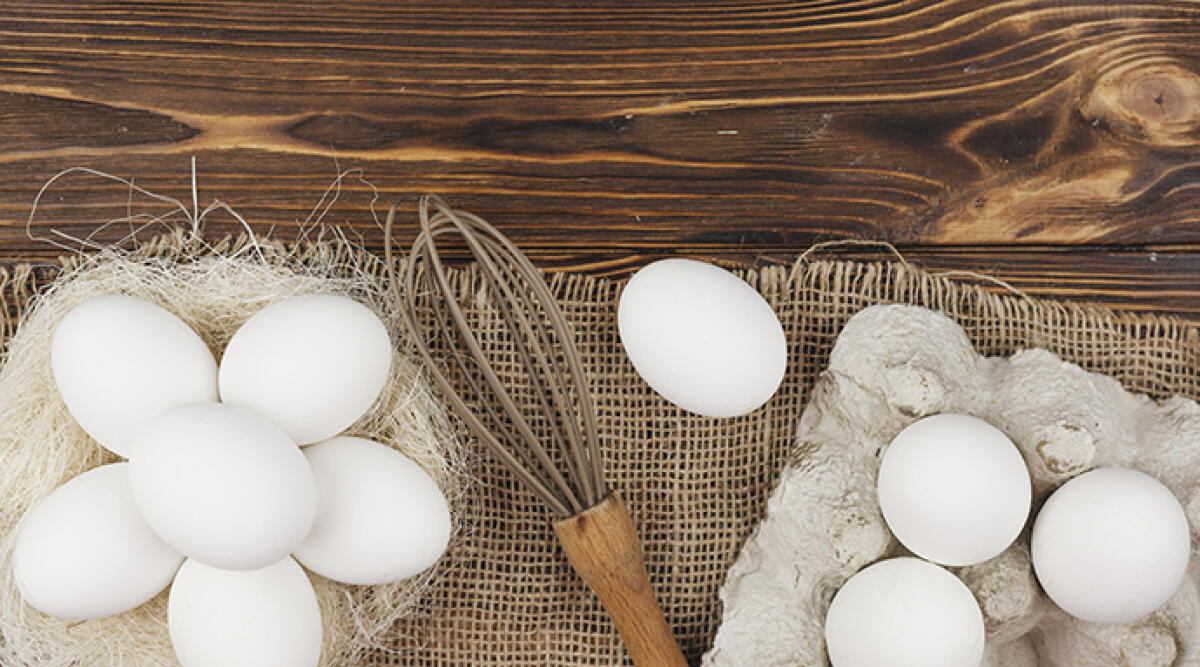 Il Poultry Forum a Rimini: prospettive e innovazione nel settore avicolo - Foto di repertorio