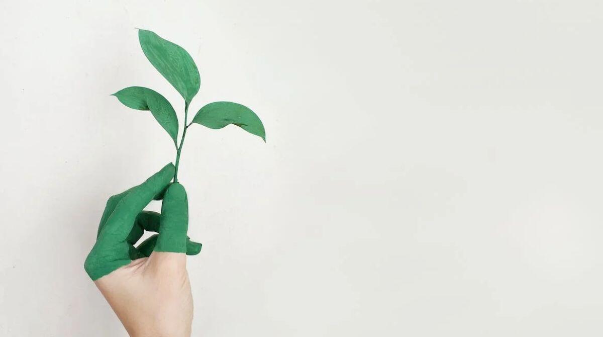 Cattolica, "Infanzia, presente!": ecologia e outdoor alla scuola Ventena - 