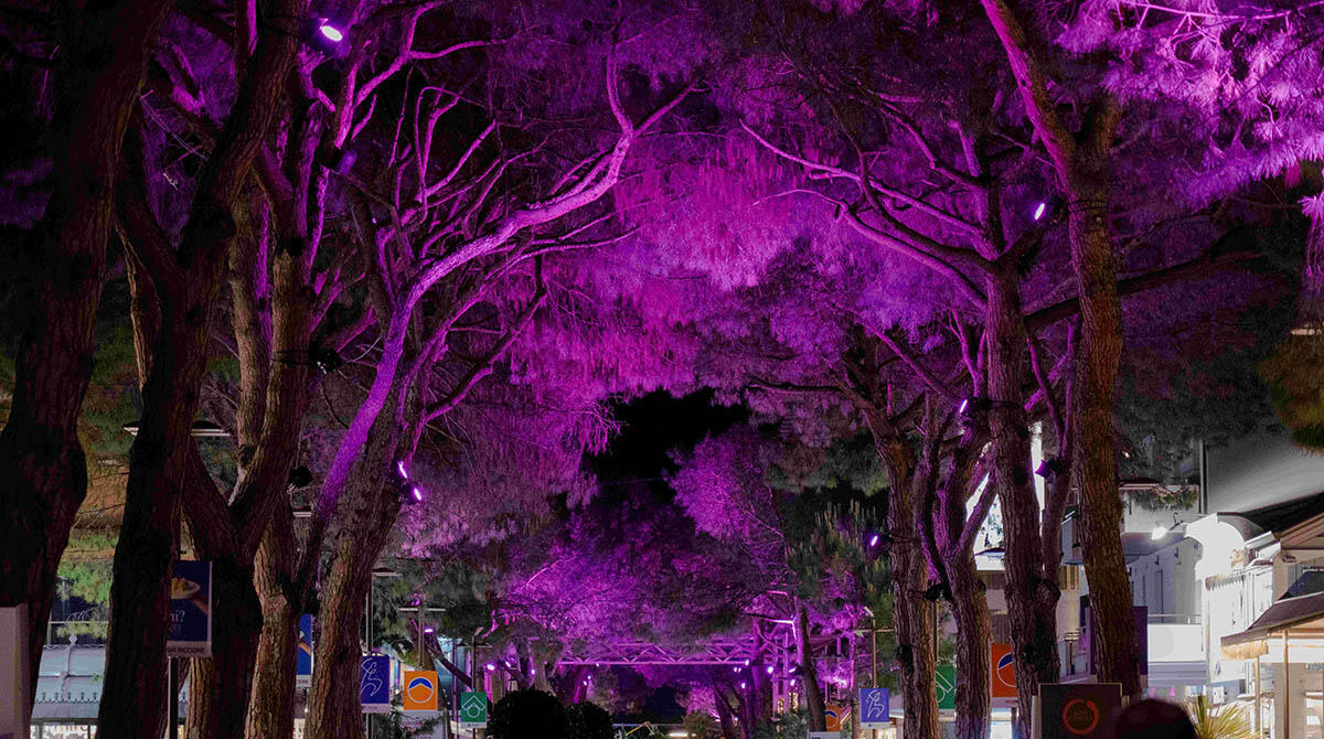 Riccione si illumina di rosa, è la settimana del Giro d'Italia - Viale Ceccarini si tinge di rosa