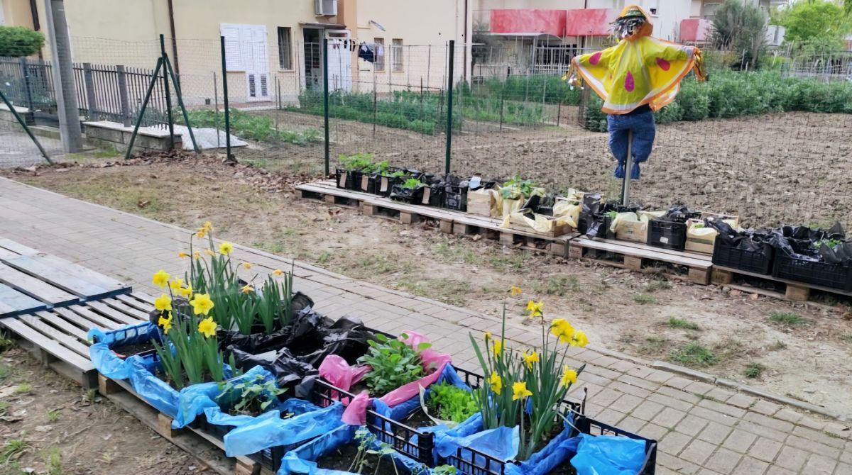 "Orto in Cassetta": dalla terra al podcast con la scuola Boschetti Alberti di Rimini - L'orto scolastico con lo spaventapasseri Pedro