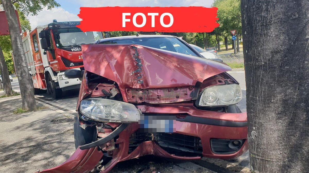 Si schianta da solo contro un albero lungo il viale di fronte all'Ospedale di Rimini - Le immagini dell'incidente avvenuto in via Settembrini, Rimini