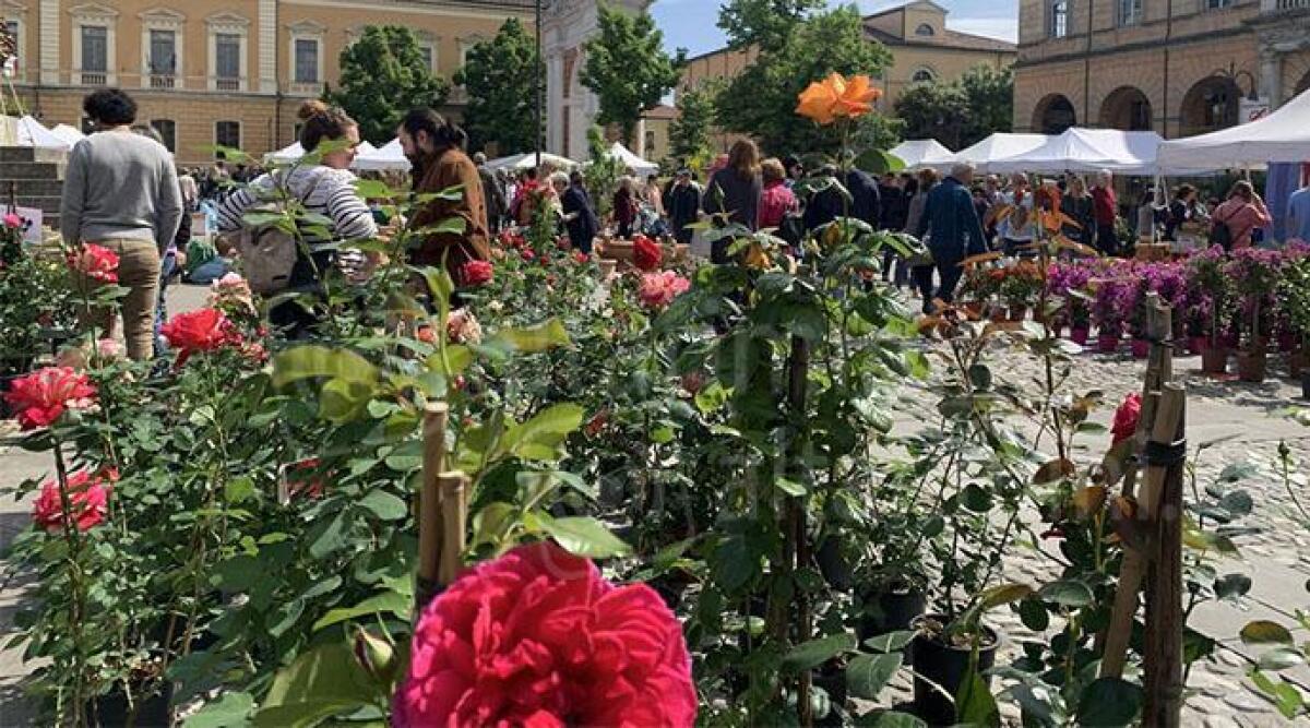 Giro d'Italia e Balconi Fioriti: weekend ricco di eventi a Santarcangelo. Come cambia la viabilità - Balconi fioriti Santarcangelo