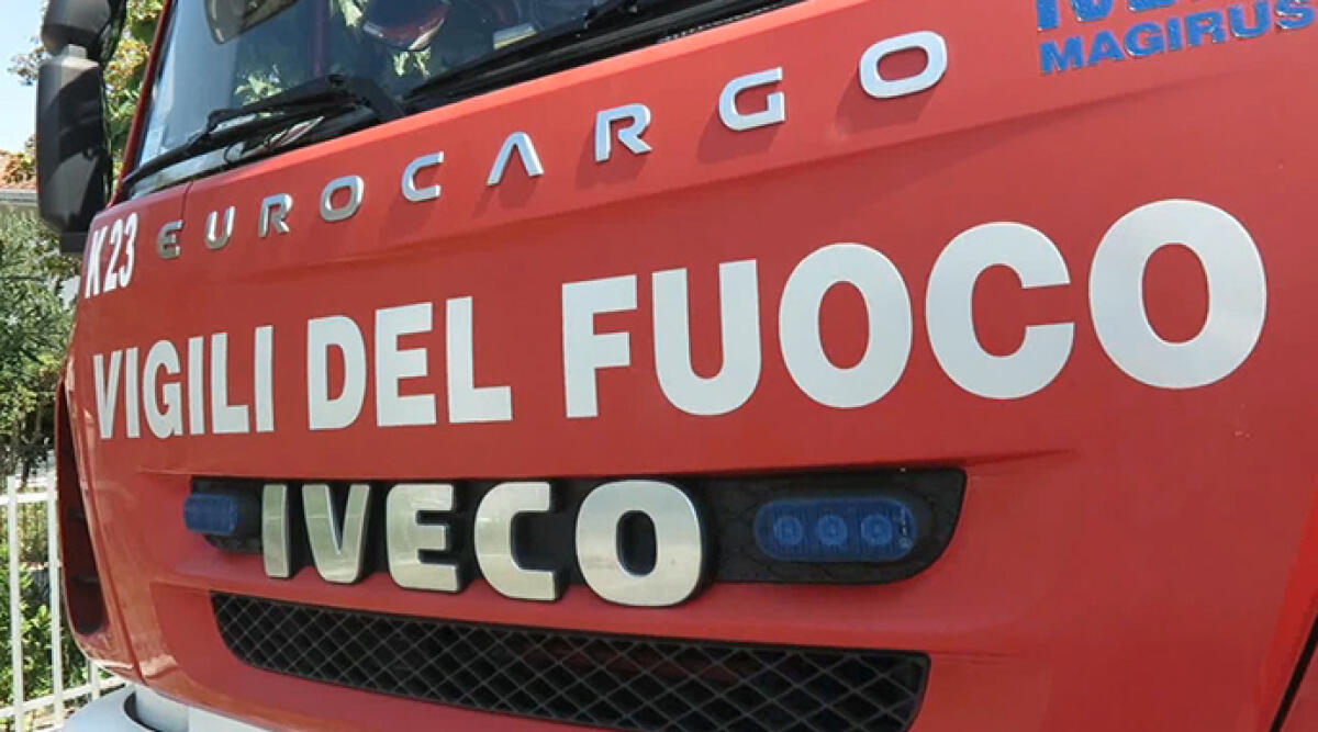 "Piumini" pioppi in fiamme alla ciclabile del fiume Marecchia, incendio e colonna di fumo nero - Archivio