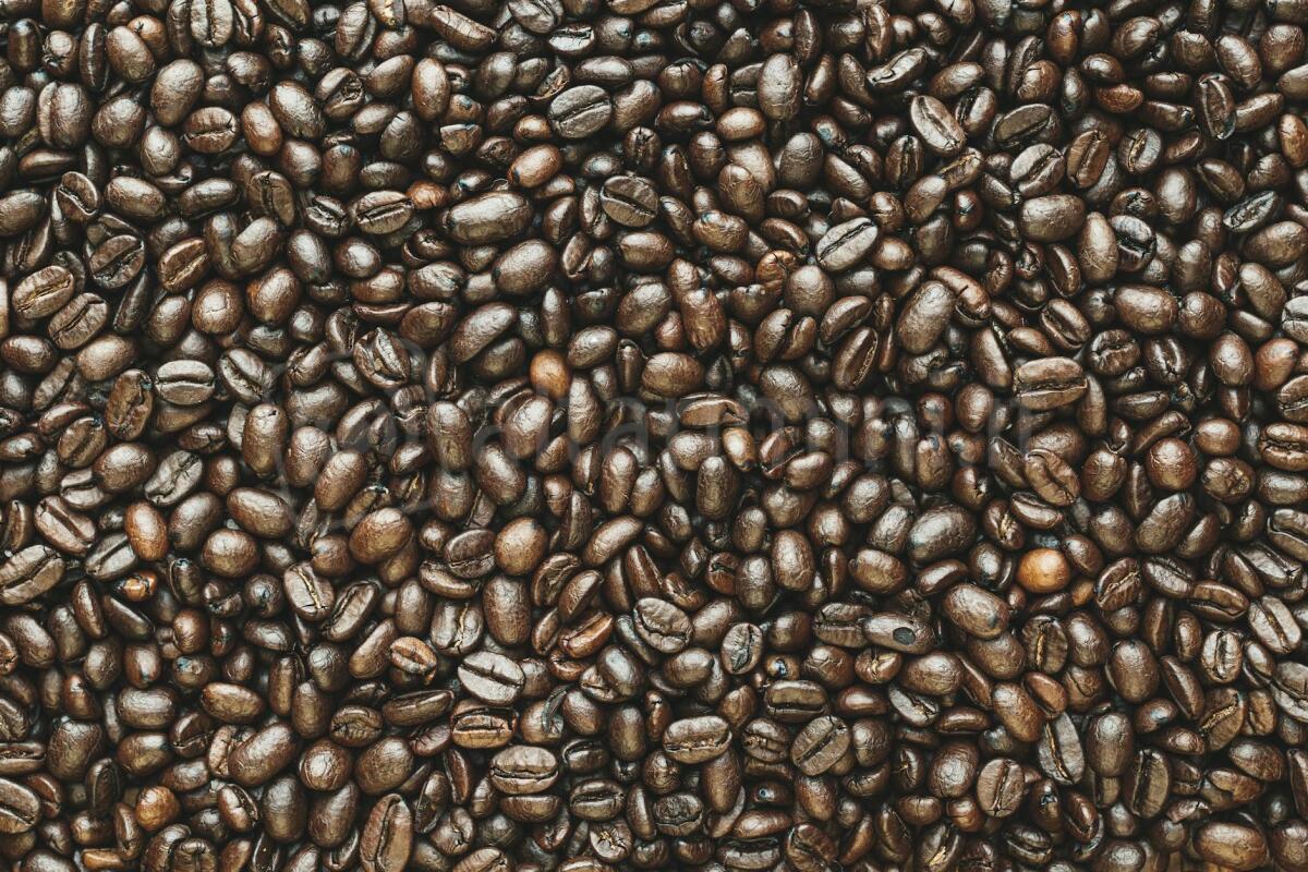 Caffè tossico, 35mila chili contaminati: sequestri anche nella filiera di Rimini - Photo by Andre Taissin on <a href="https://www.pexels.com/photo/close-up-photography-of-coffee-beans-6239866/" rel="nofollow">Pexels.com</a>