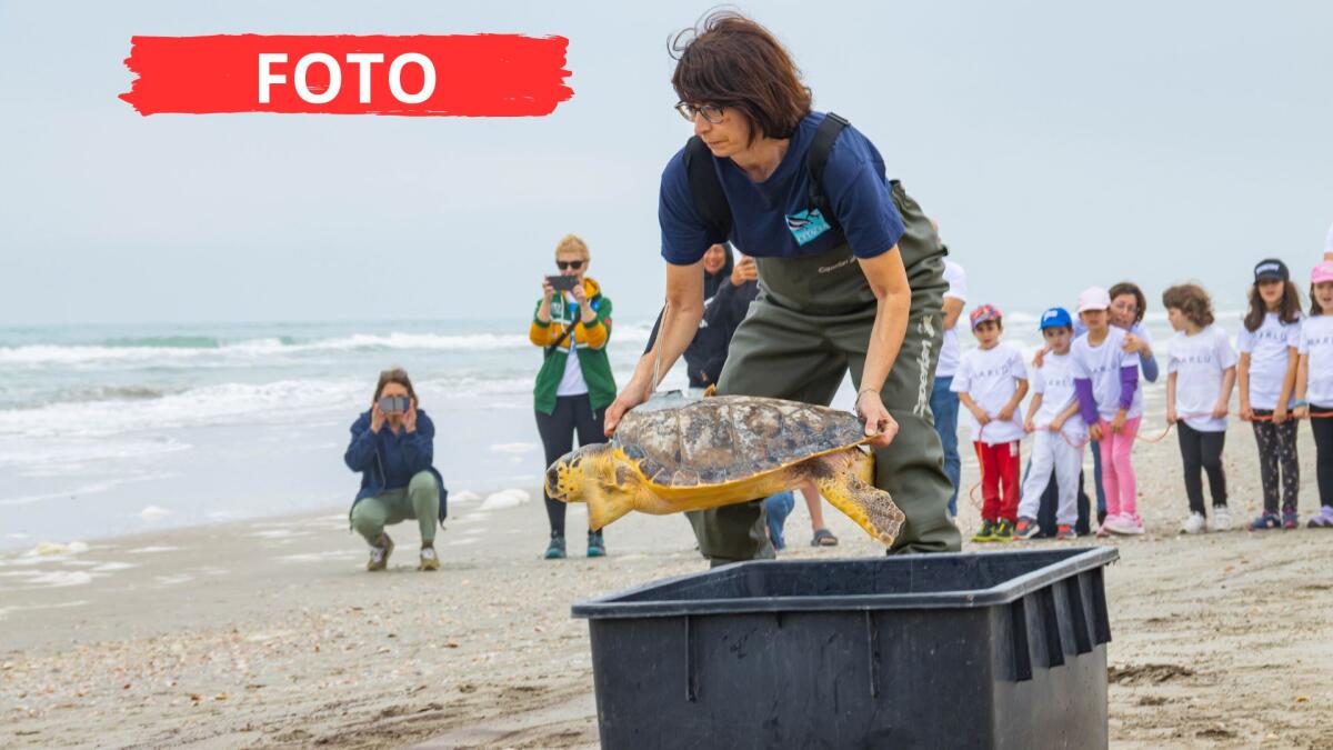 Dalla band Piqued Jacks il gesto benefico per il mare: 150 bambini salutano la tartaruga liberata -