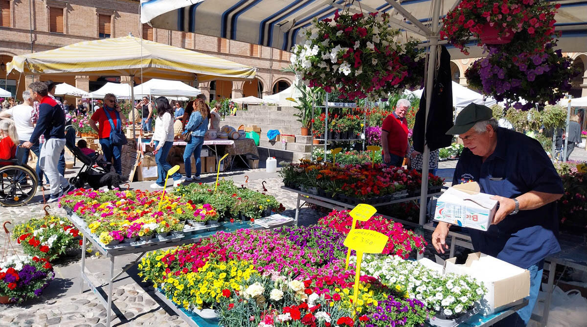 Santarcangelo, quanti fiori e quanta gente: 25mila presenze a Balconi Fioriti - Balconi Fioriti 2024 - Santarcangelo di Romagna