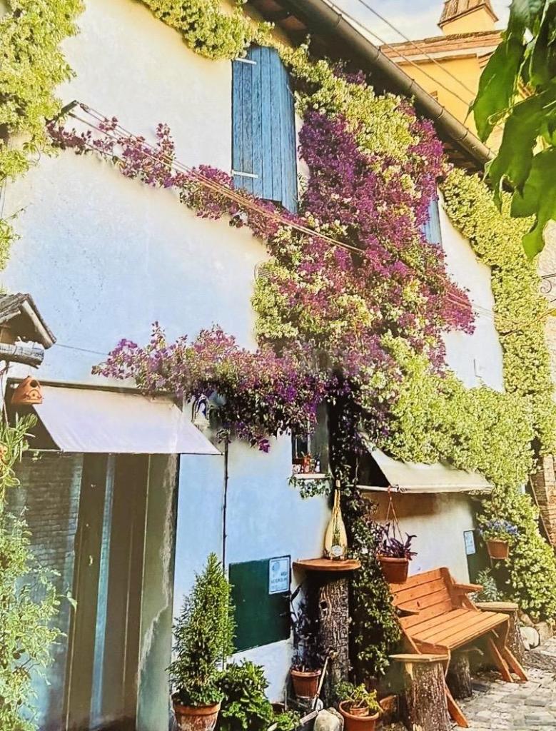 Miglior balcone cittadino – famiglia Gattei